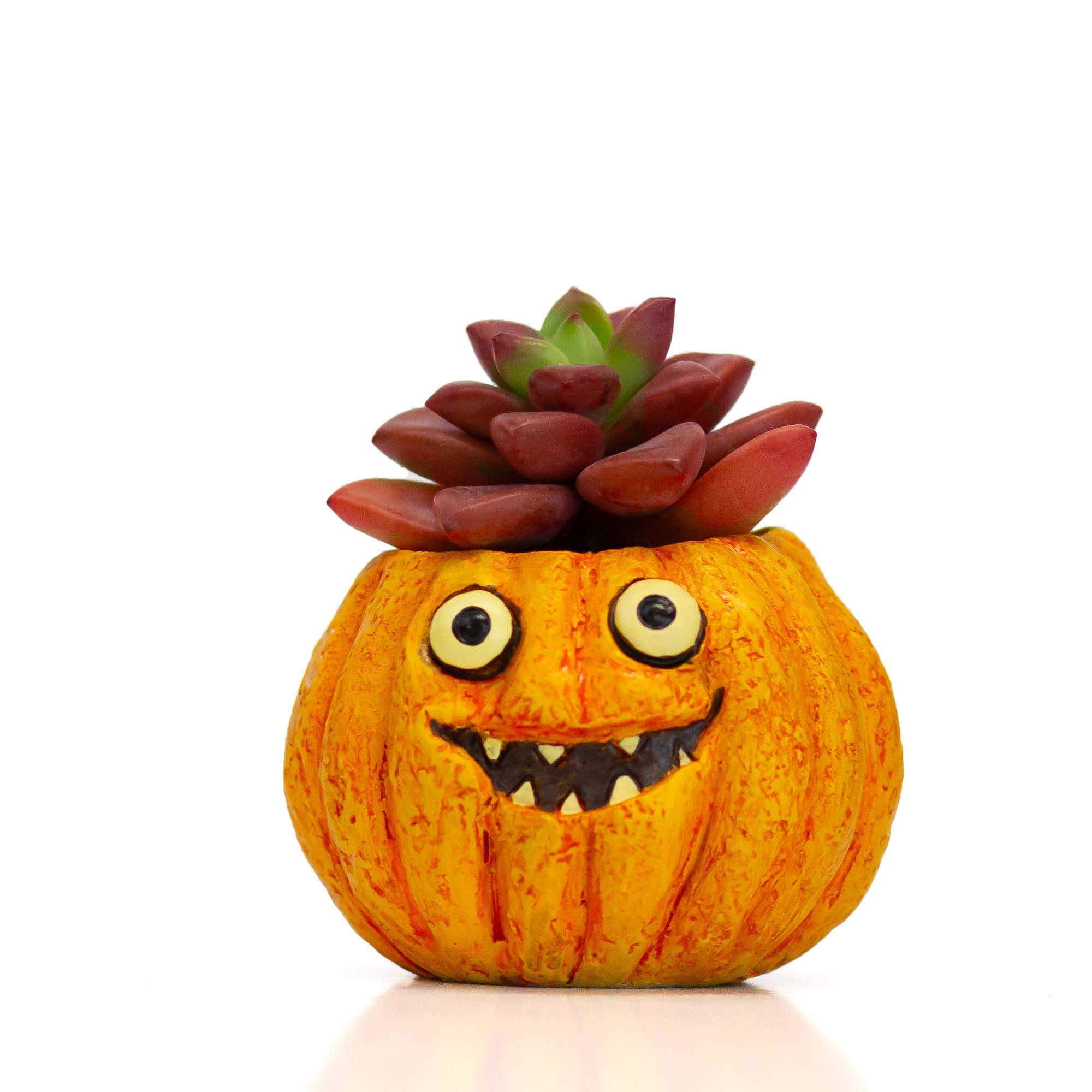 Snickers Mini Blobhouse Pumpkin Planter Succulent & Air Plant Pot