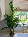 36” Faux Norfolk Pine Tree Burlap Wrap Artificial Christmas Tree Farmhouse Table Top