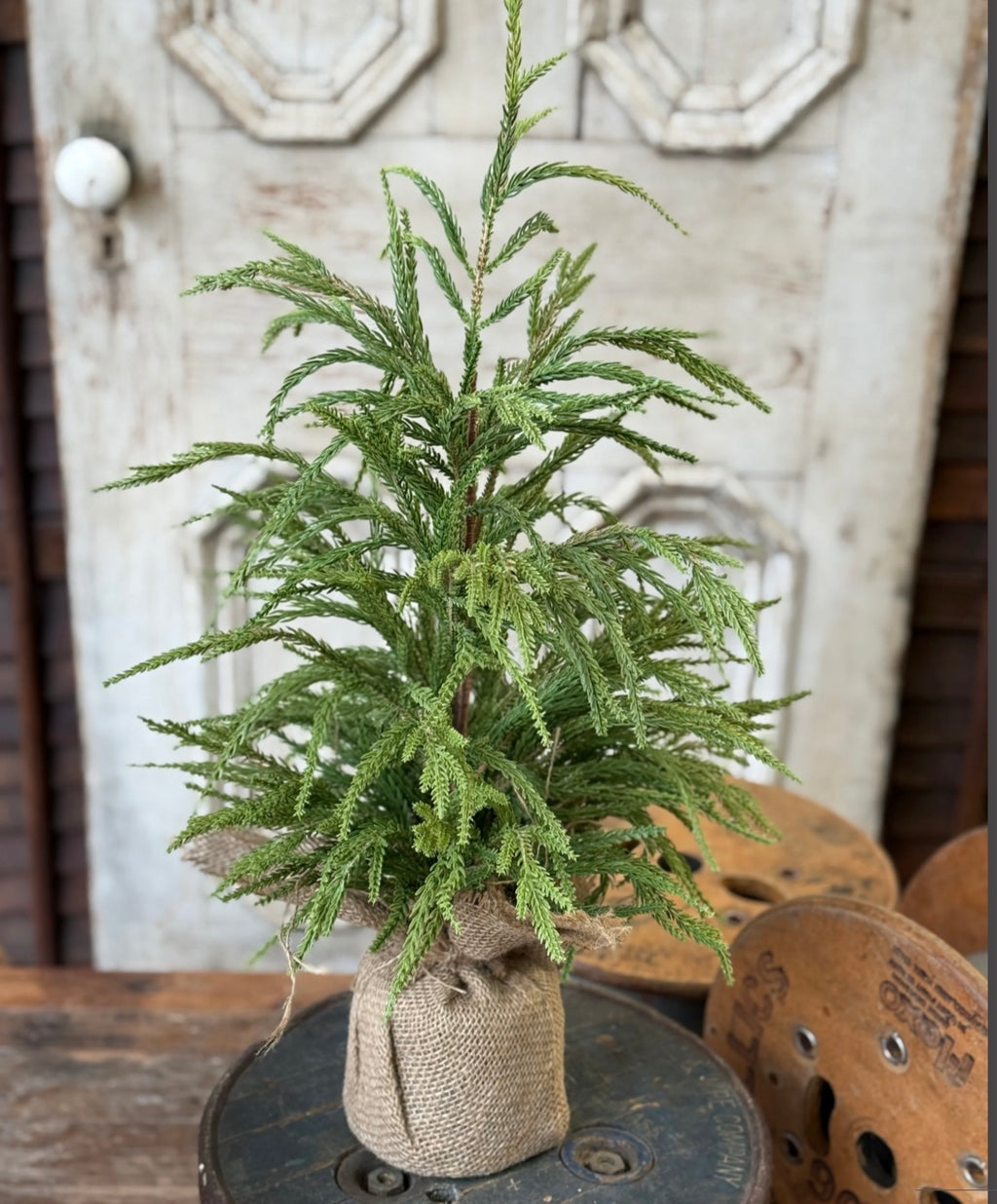 24” York Norfolk Pine Tree Faux Mini Artificial Christmas Burlap Base Farmhouse Holiday Decor