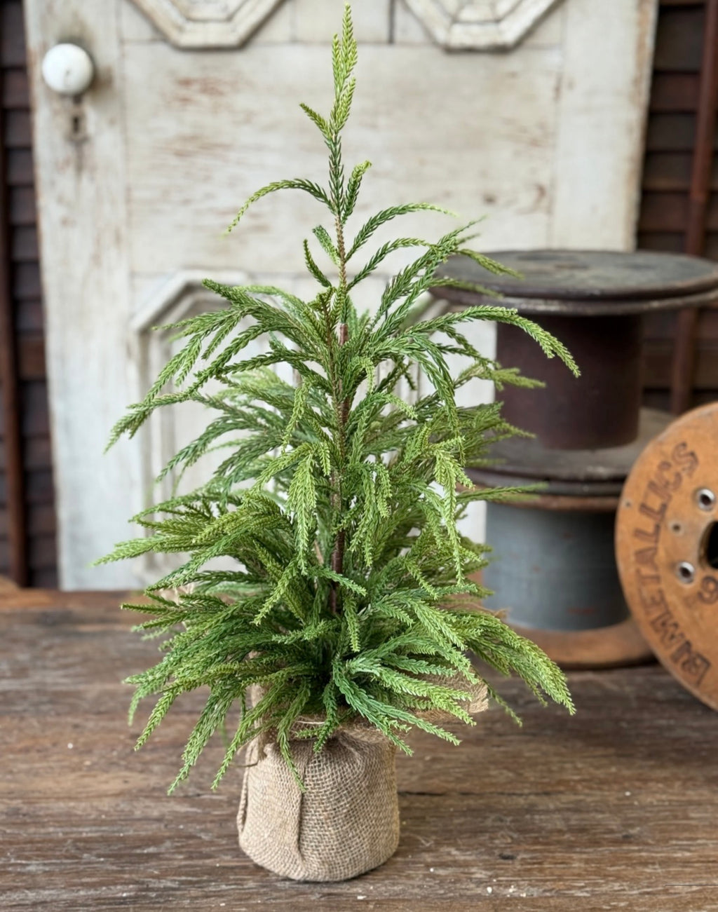 24” York Norfolk Pine Tree Faux Mini Artificial Christmas Burlap Base Farmhouse Holiday Decor