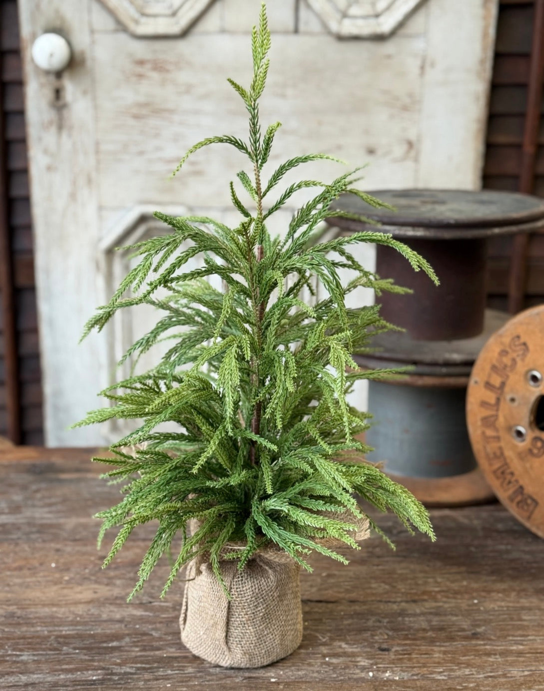24” York Norfolk Pine Tree Faux Mini Artificial Christmas Burlap Base Farmhouse Holiday Decor