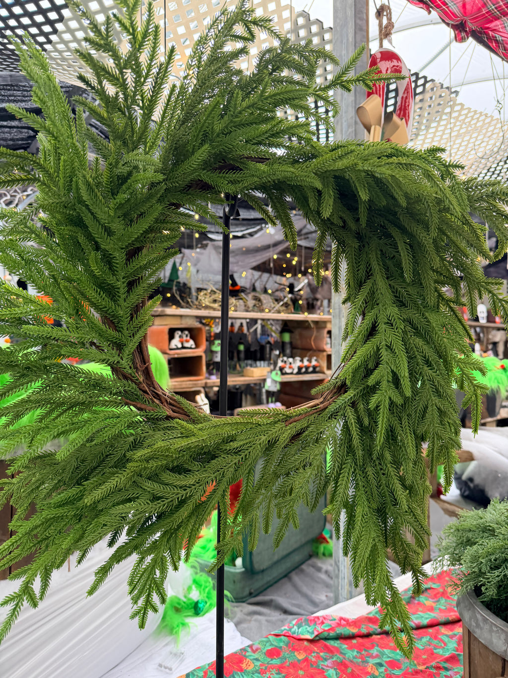 Norfolk Pine 24” Wreath Farmhouse Christmas Holiday Draping Faux Greenery On 14” Grapevine Base