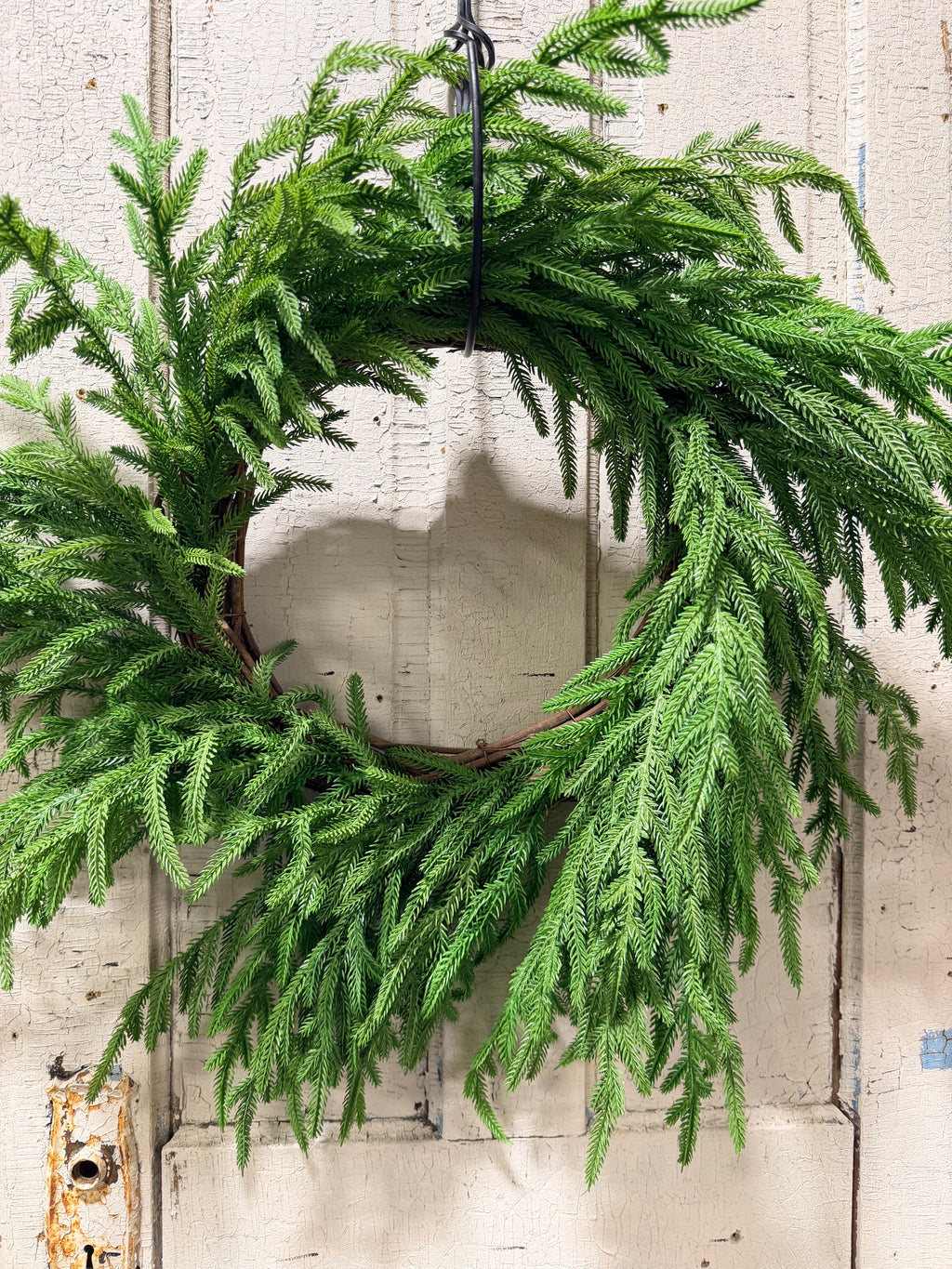Norfolk Pine 24” Wreath Farmhouse Christmas Holiday Draping Faux Greenery On 14” Grapevine Base