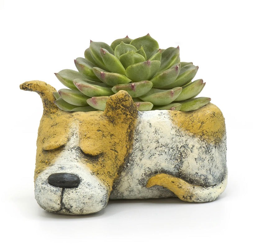 Luna Sleeping Dog Blobhouse Planter Succulent & Air Plant Pot