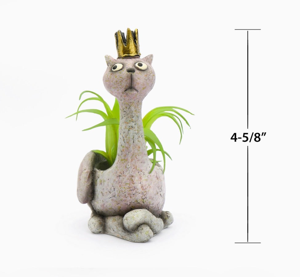 Baby Masie The Cat Blobhouse Planter Succulent Air Plant 4-5/8” Tall