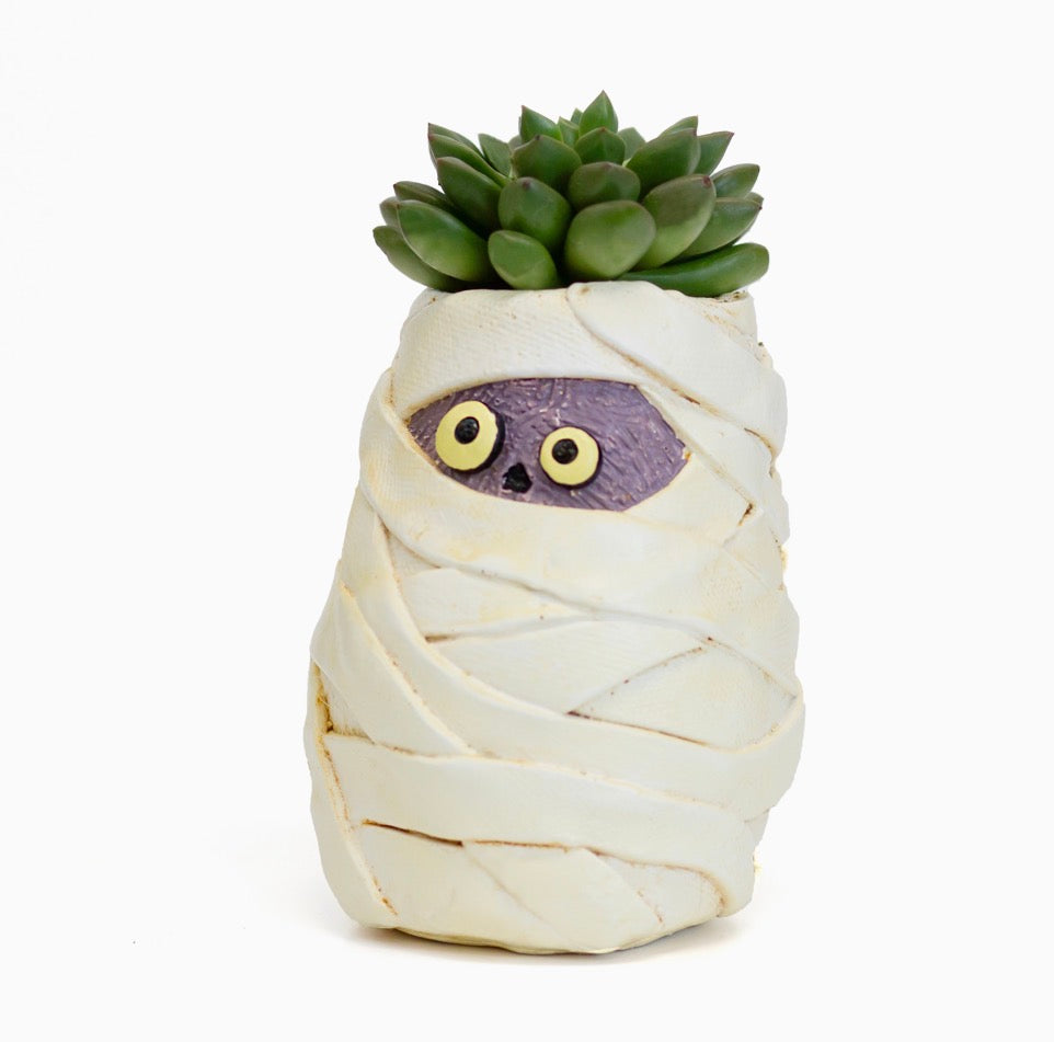 Mummy Mia Halloween Succulent Planter Blob House Spooky
