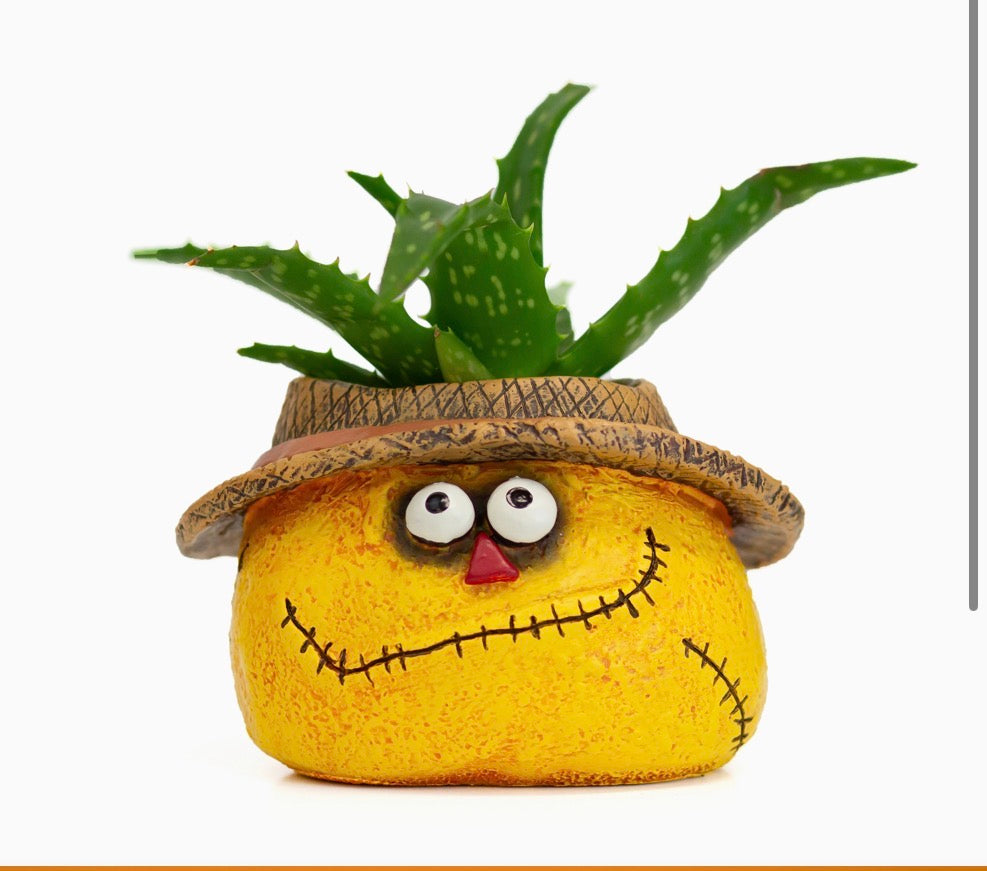 Strawman Dan Scarecrow Succulent Planter Blob House Fall 3.5” Tall