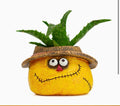 Strawman Dan Scarecrow Succulent Planter Blob House Fall 3.5” Tall