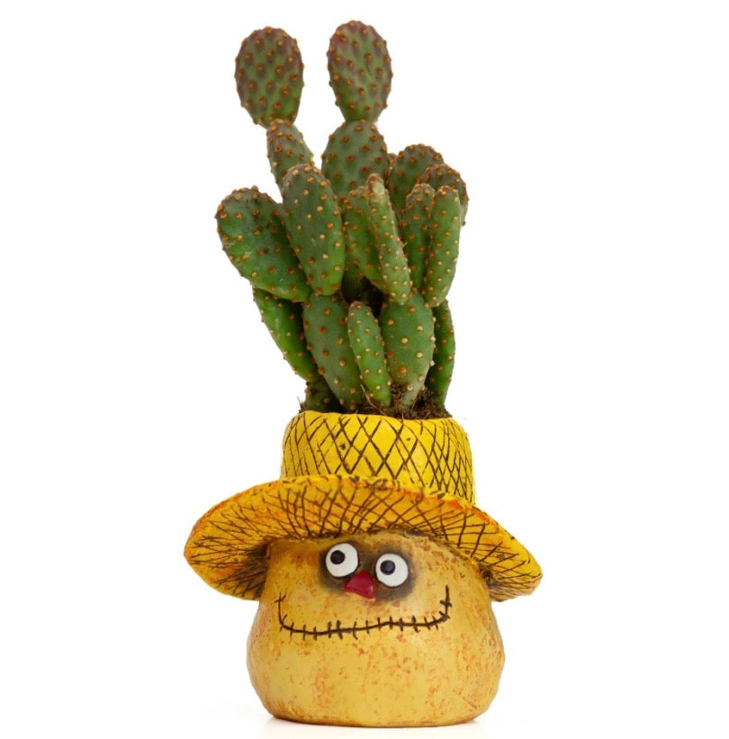 Stitches Scarecrow Succulent Planter Blob House Fall 4” Tall Halloween