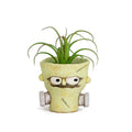 Bolt The Frankenstein Succulent Planter Blob House 3.5” Tall Halloween