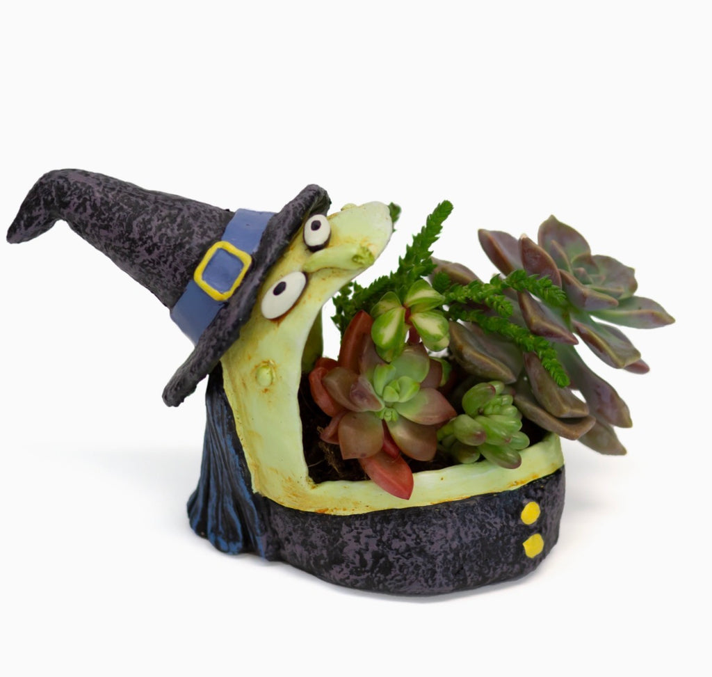Winifred The Witch Halloween Succulent Planter Blob House Spooky