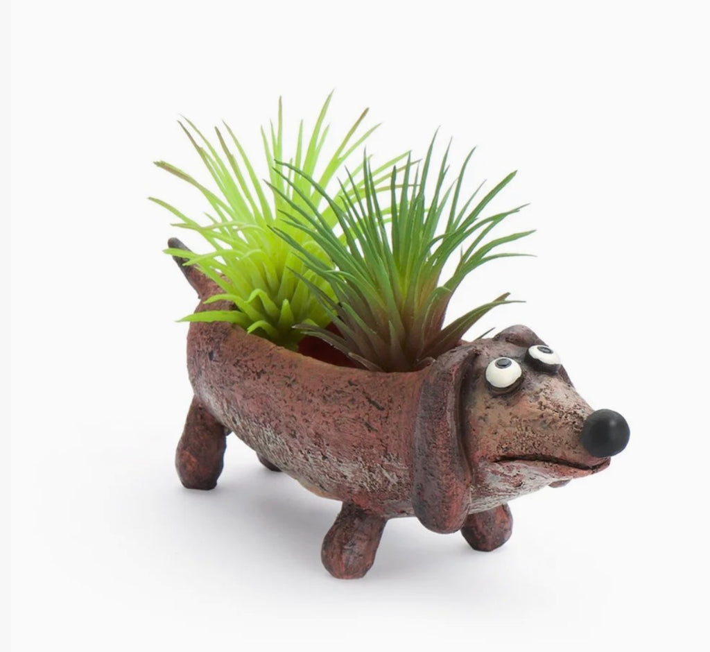 Baby Dobby Doxin The Dog Mini Blobhouse Planter Succulent Air Plant Puppy