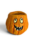 Blobhouse Gourdon Pumpkin Halloween Planter Succulent & Air Plant
