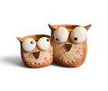 Owl Duo Succulent Planter House Plants Plant Pot 4” Tall
