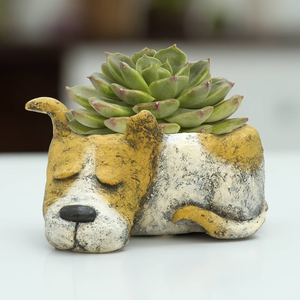 Luna Sleeping Dog Blobhouse Planter Succulent & Air Plant Pot